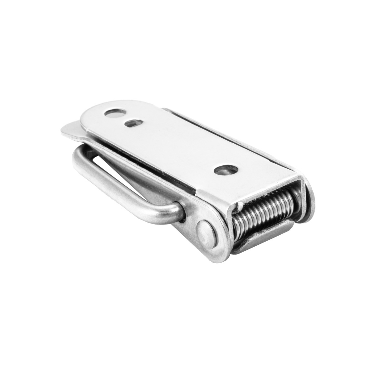 Stainless Steel Spring Loaded Chest Latch Avanti Systems Co. Ltd